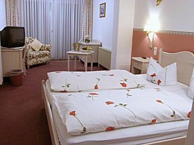 Hotel Schlossgarten Gladenbach Room photo